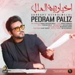 دانلود آهنگ پدرام پالیز به نام اخبار بین الملل